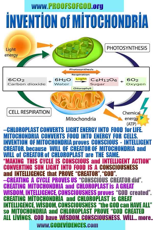 proofs of god, evidences of god, god-proofs, god-signs, god-evidences, god exists, god-real, god is real, preuves de dieu, preuves de dieu, signes de dieu, preuves-dieu, preuves-dieu, dieu est réel, dieu existe 