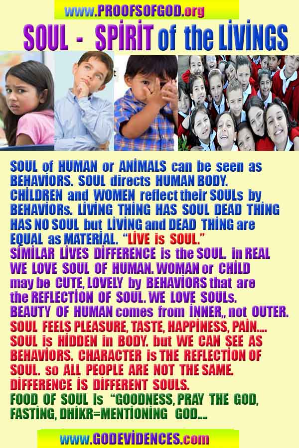 proofs of god, evidences of god, god-proofs, god-signs, god-evidences, god exists, god-real, god is real, pruebas de dios, evidencias de dios, signos de dios, pruebas-dios, evidencias-dios, dios es real, dios existe 