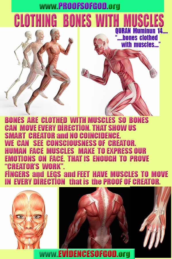 proofs of god, evidences of god, god-proofs, god-signs, god-evidences, god exists, god-real, god is real, 神の証明、神の証拠、神の兆候、神の証明、神の証拠、神は実在する、神は存在する 