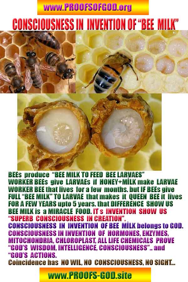 proofs of god, evidences of god, god-proofs, god-signs, god-evidences, god exists, god-real, god is real,براهين الله، أدلة الله، علامات الله، براهين الله، أدلة الله، الله حقيقي، الله موجود 